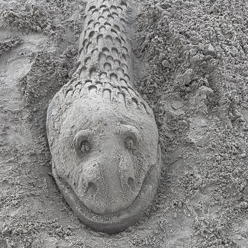 Tool Kit For Perfect Mermaids, Dolphins Or Dragons On The Beach