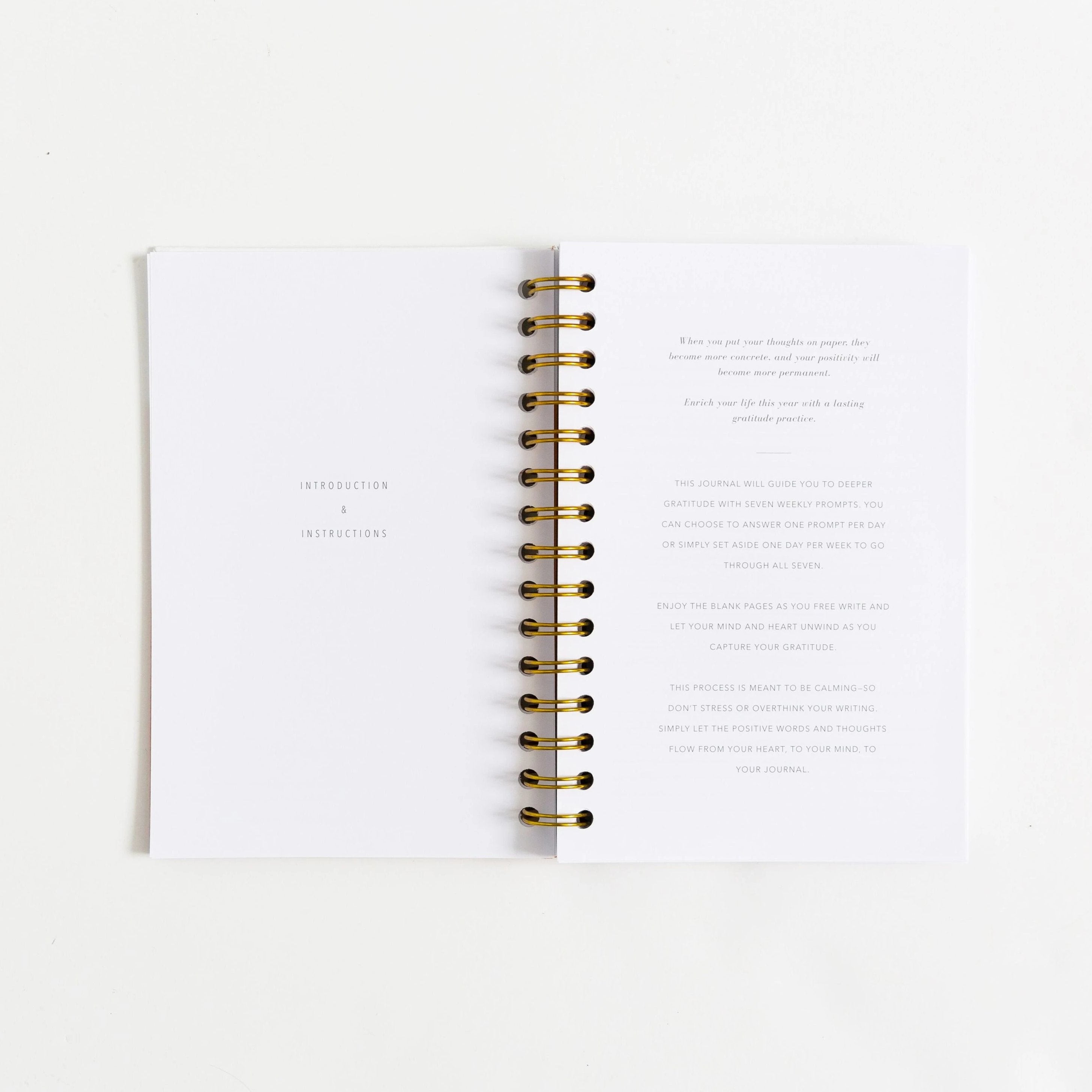 Gratitude Journals - Sea Foam by Promptly Journals