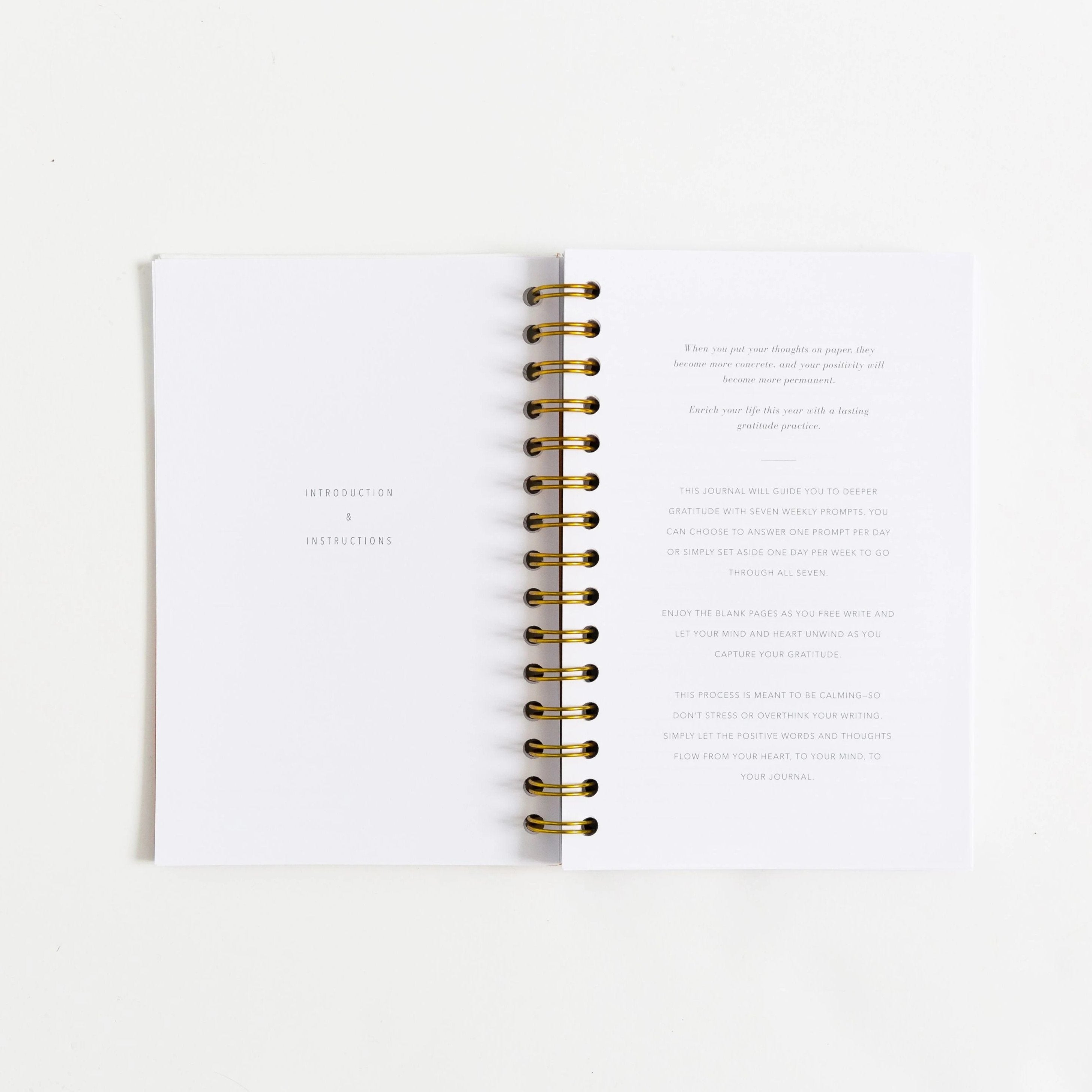 Gratitude Journal - Amber Linen by Promptly Journals