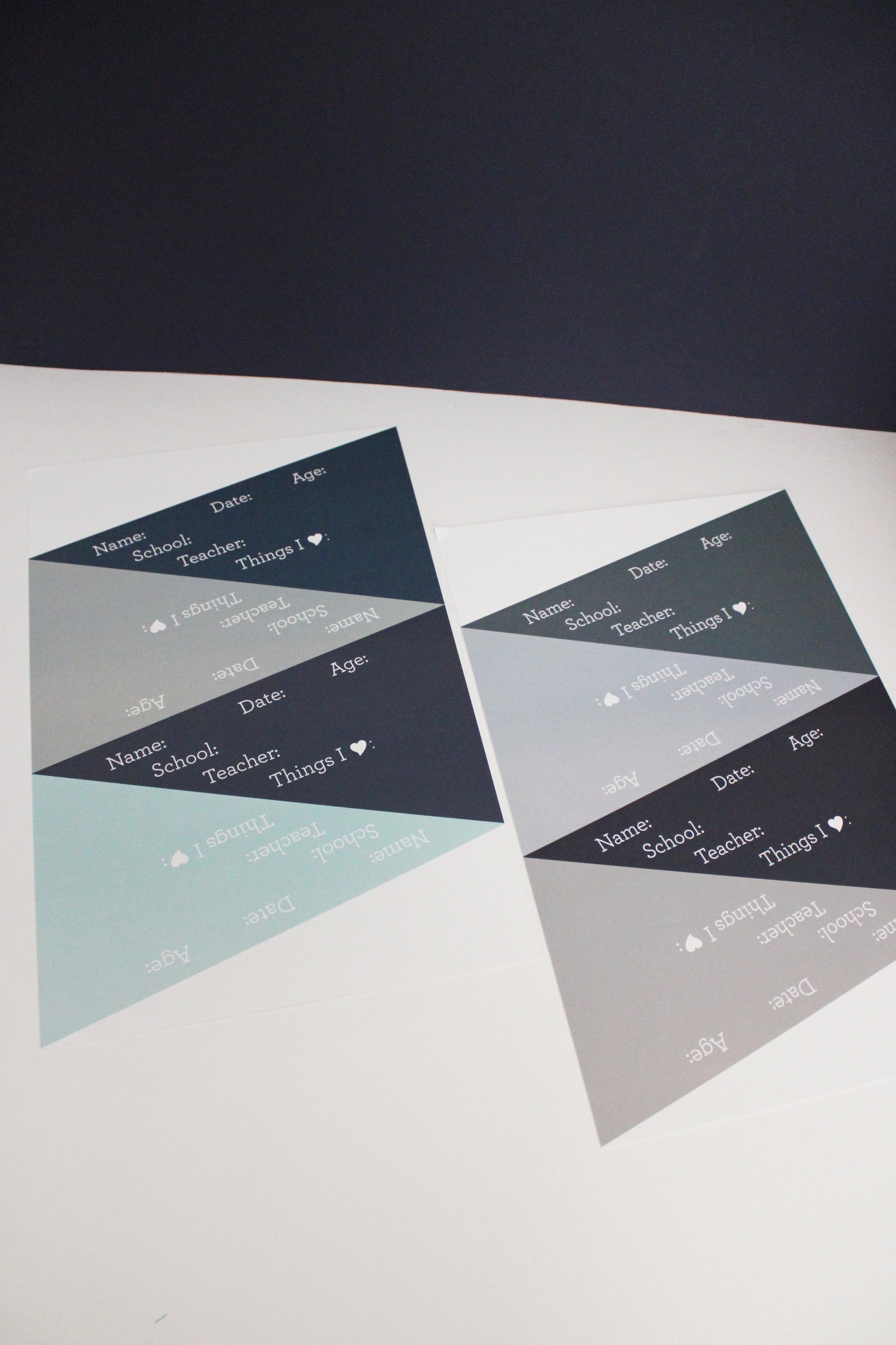 Oxford Blue School Pennant Flags