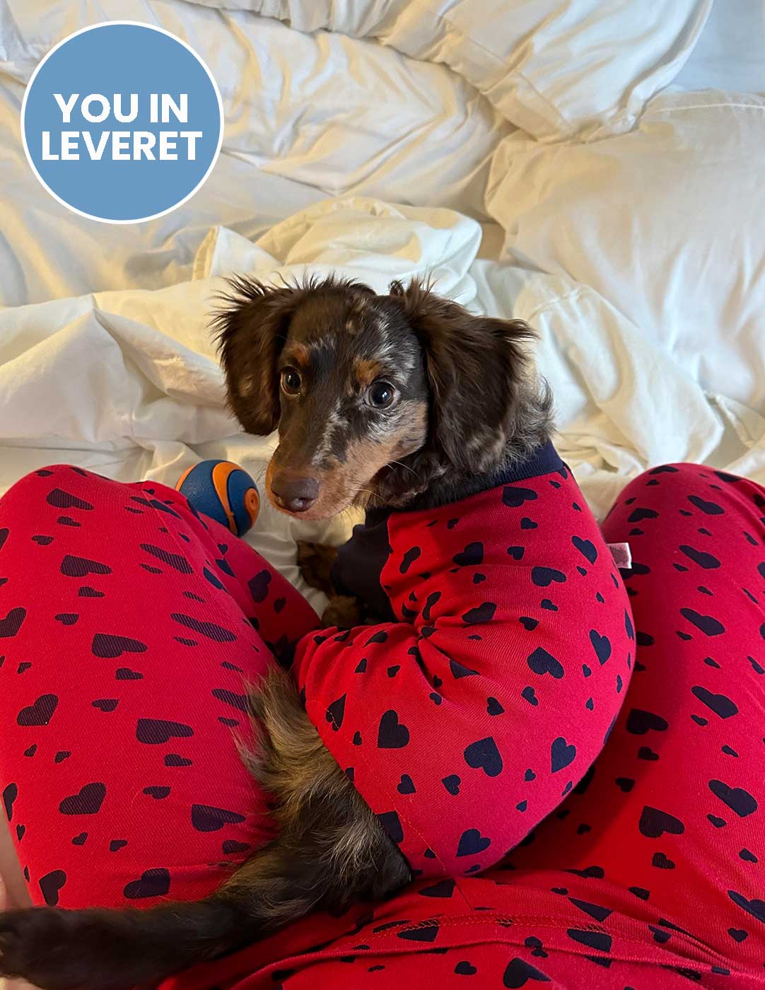 Dog Hearts Pajamas