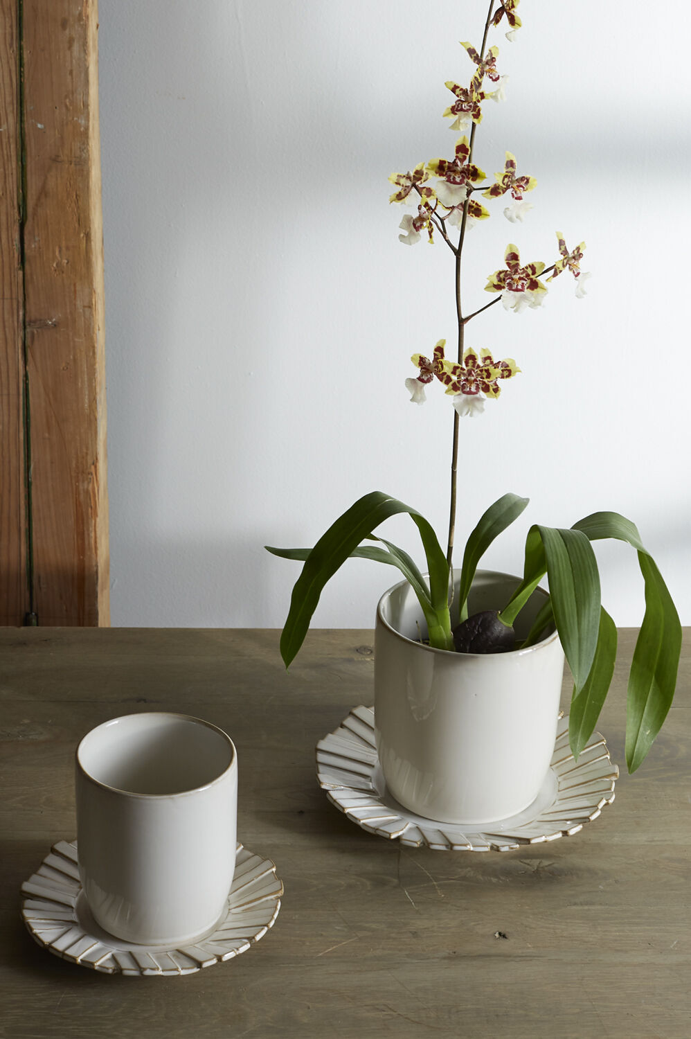 Dermot Pot With Saucer