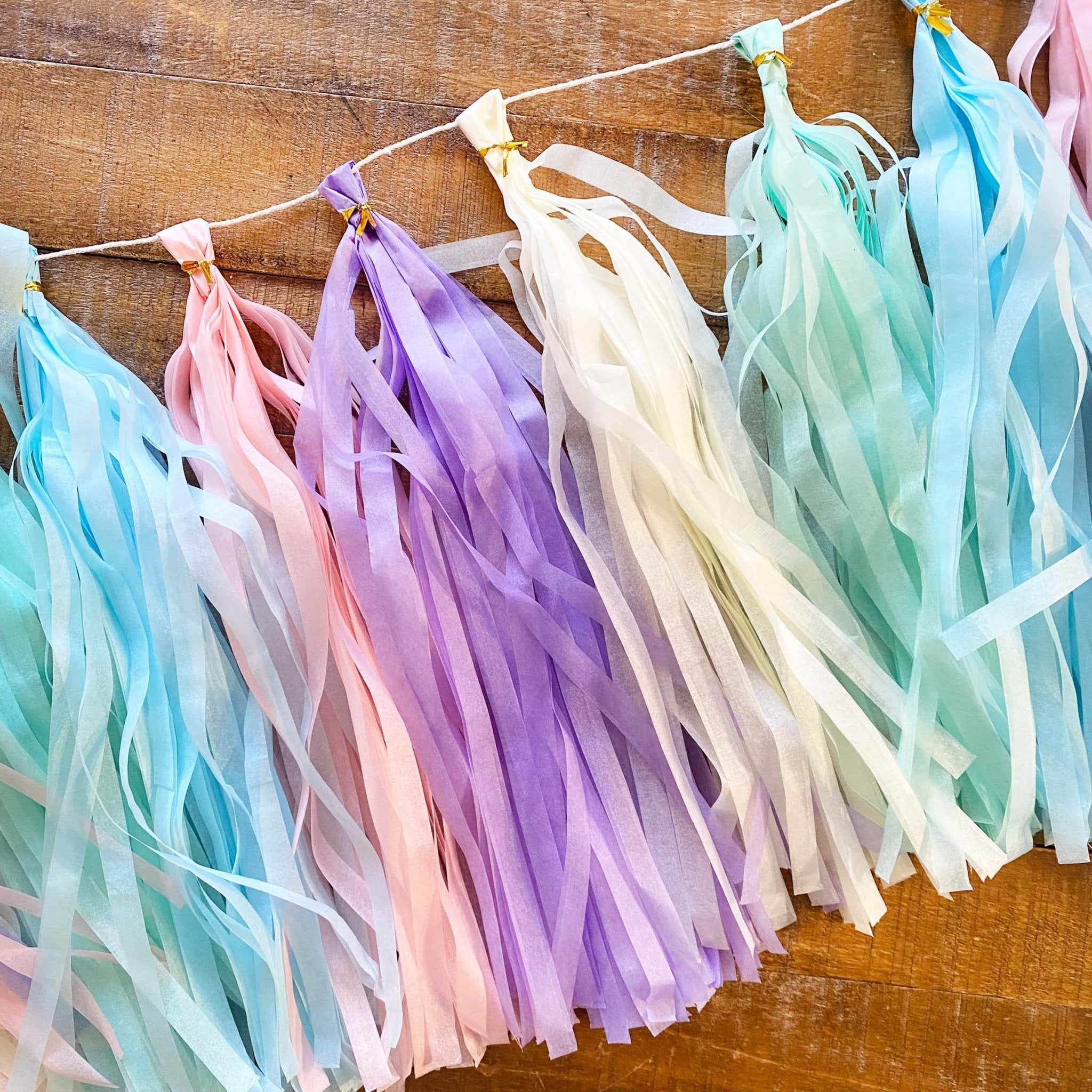 Paper Tassel Kit