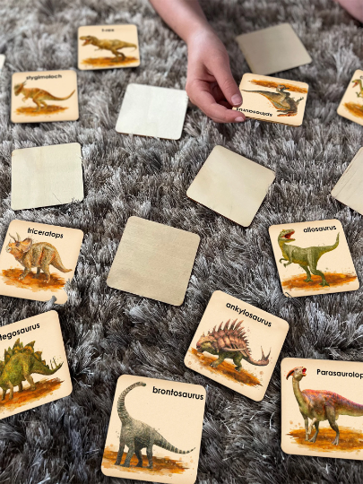 Memory Game- Dinosaur V2