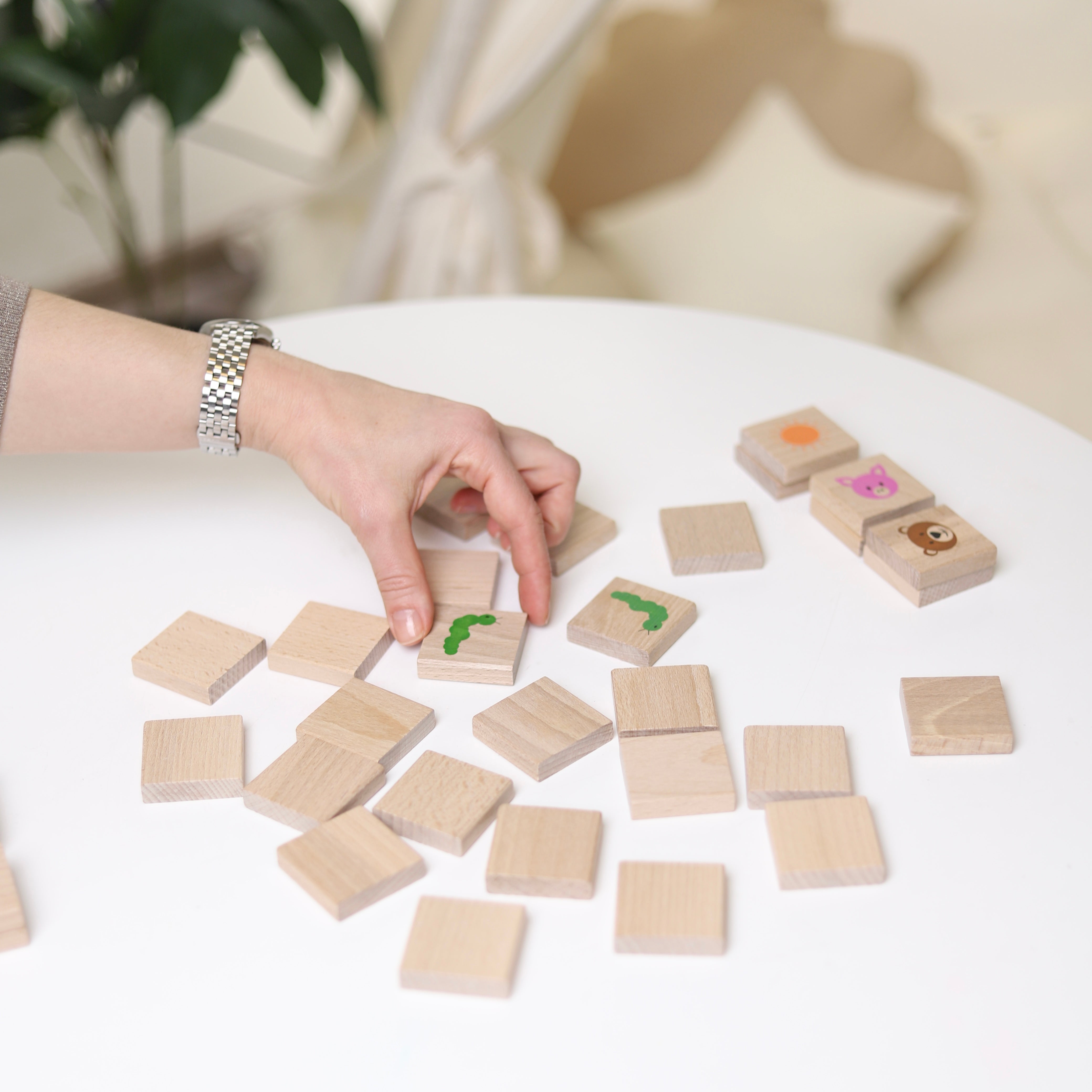 Igroteco Memory Match Game - 32 Pieces