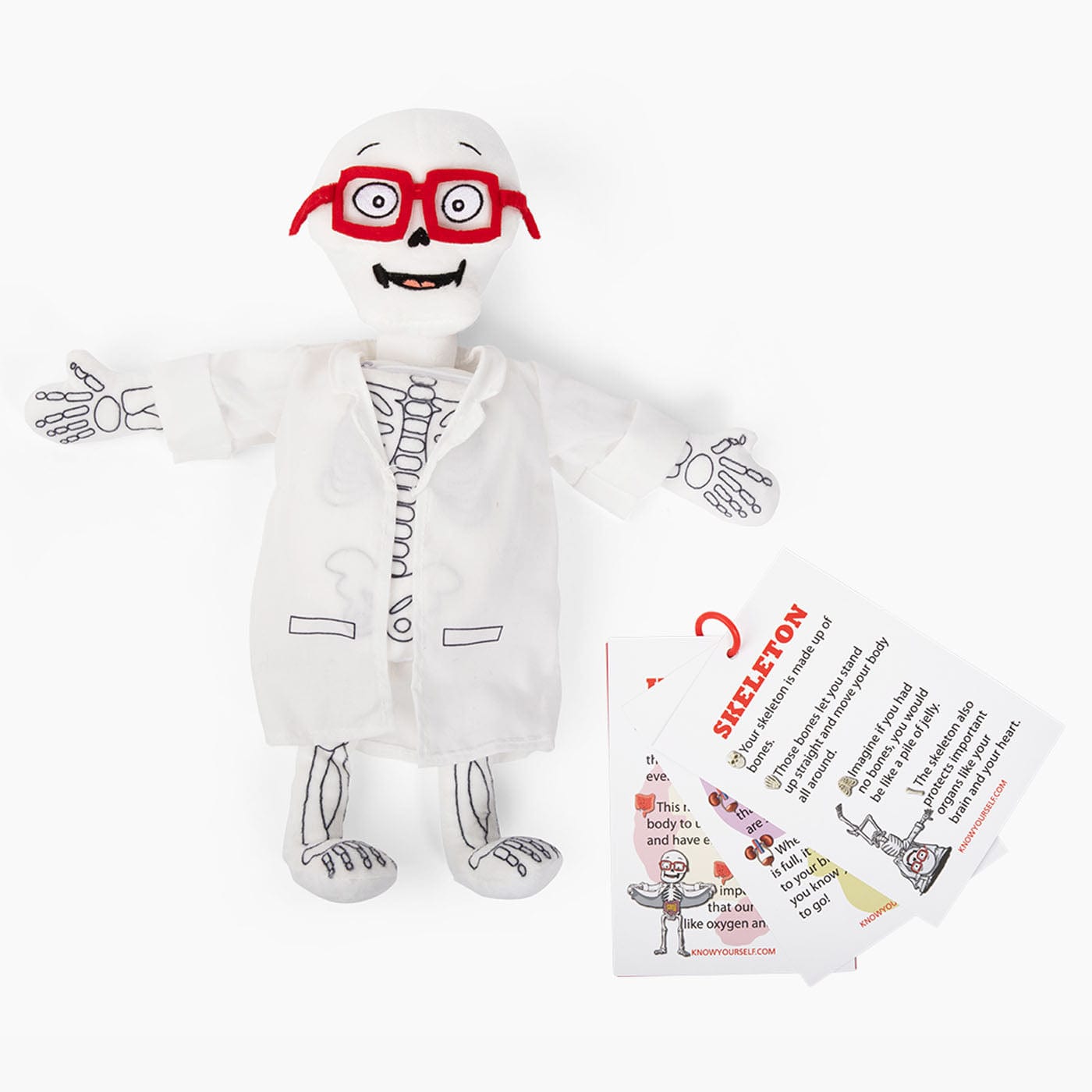 Dr. Bonyfide Anatomy Plushy Kit