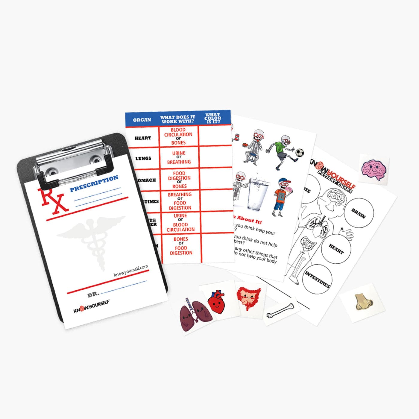 Dr. Bonyfide Anatomy Plushy Kit