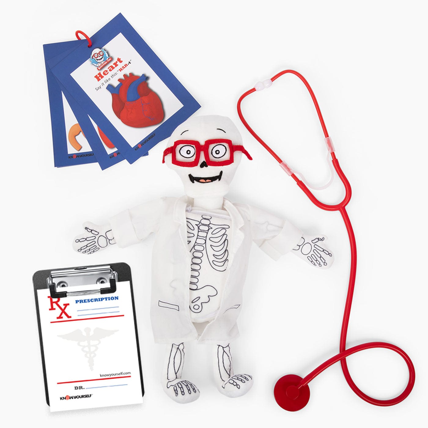 Dr. Bonyfide Anatomy Plushy Kit