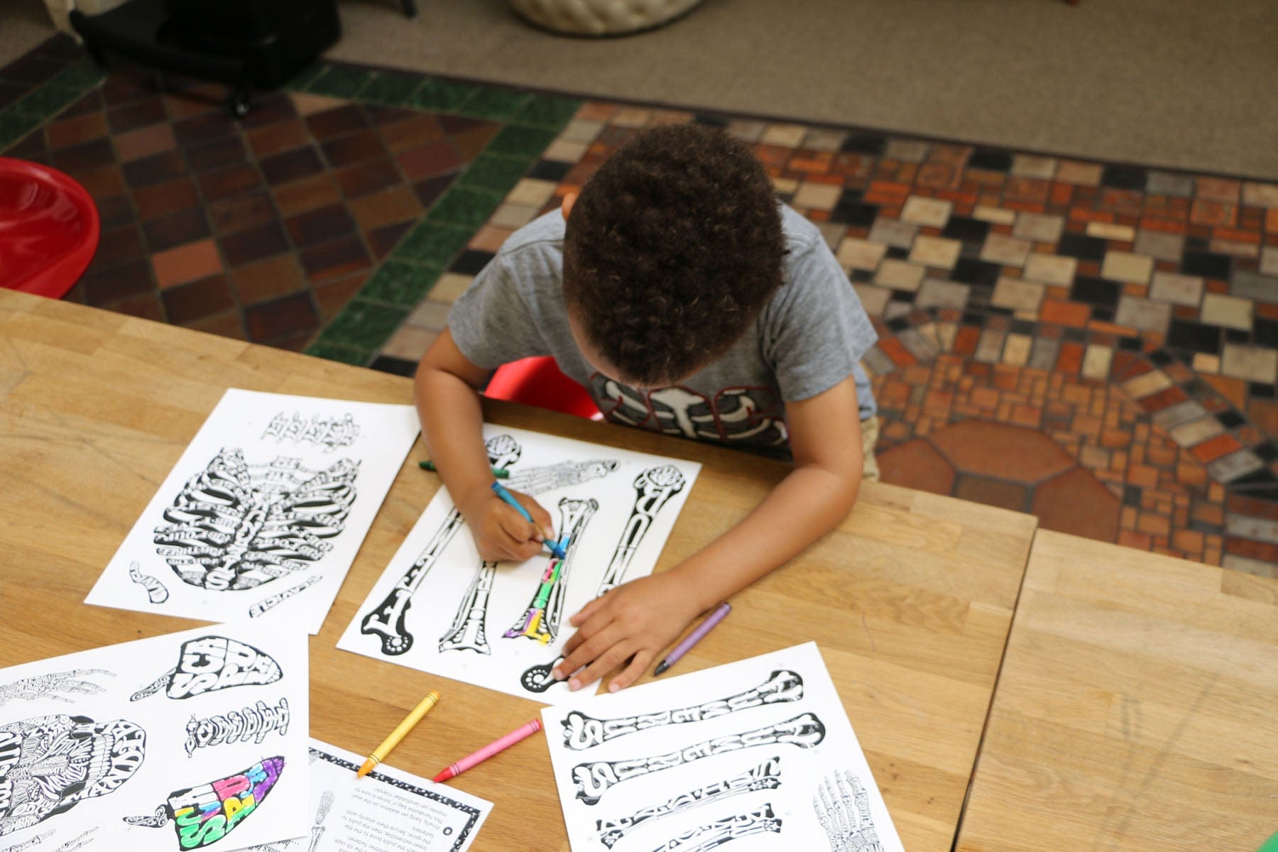 Dr. Bonyfide's Know Your Bones: Coloring Kit