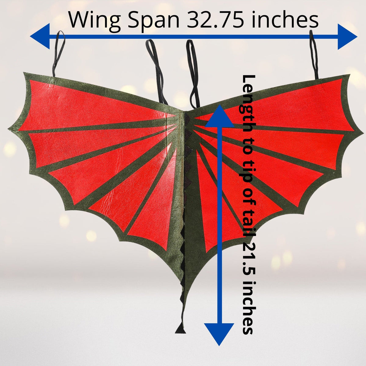 Dragon Wings Costume