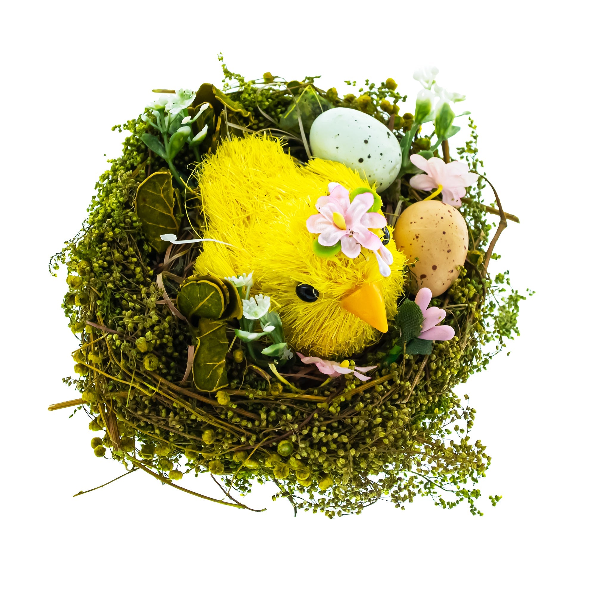 Speckled Egg Surprise: Nestled Chick Amidst Colorful Treasures