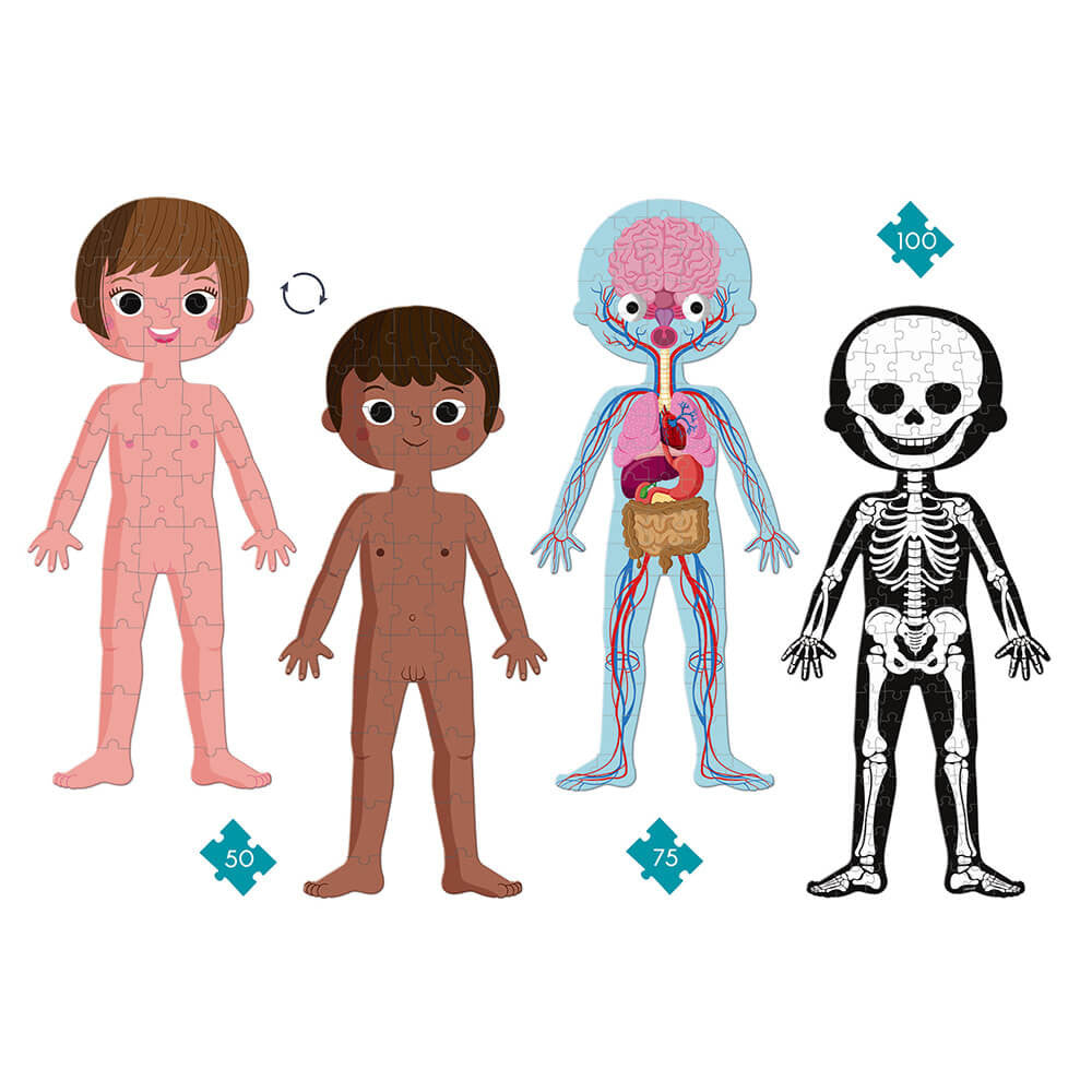 Educational Puzzle - Human Body - 50, 75, 100 Pcs