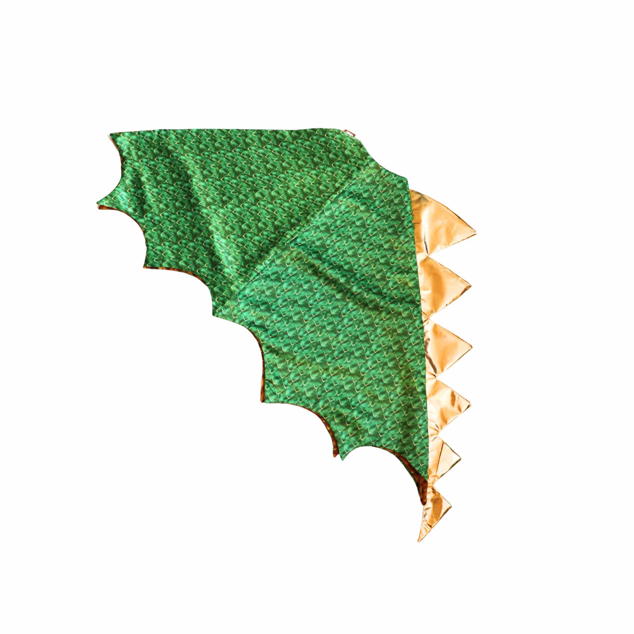 Dragon And Wizard Costume Gift Set,  Green/black