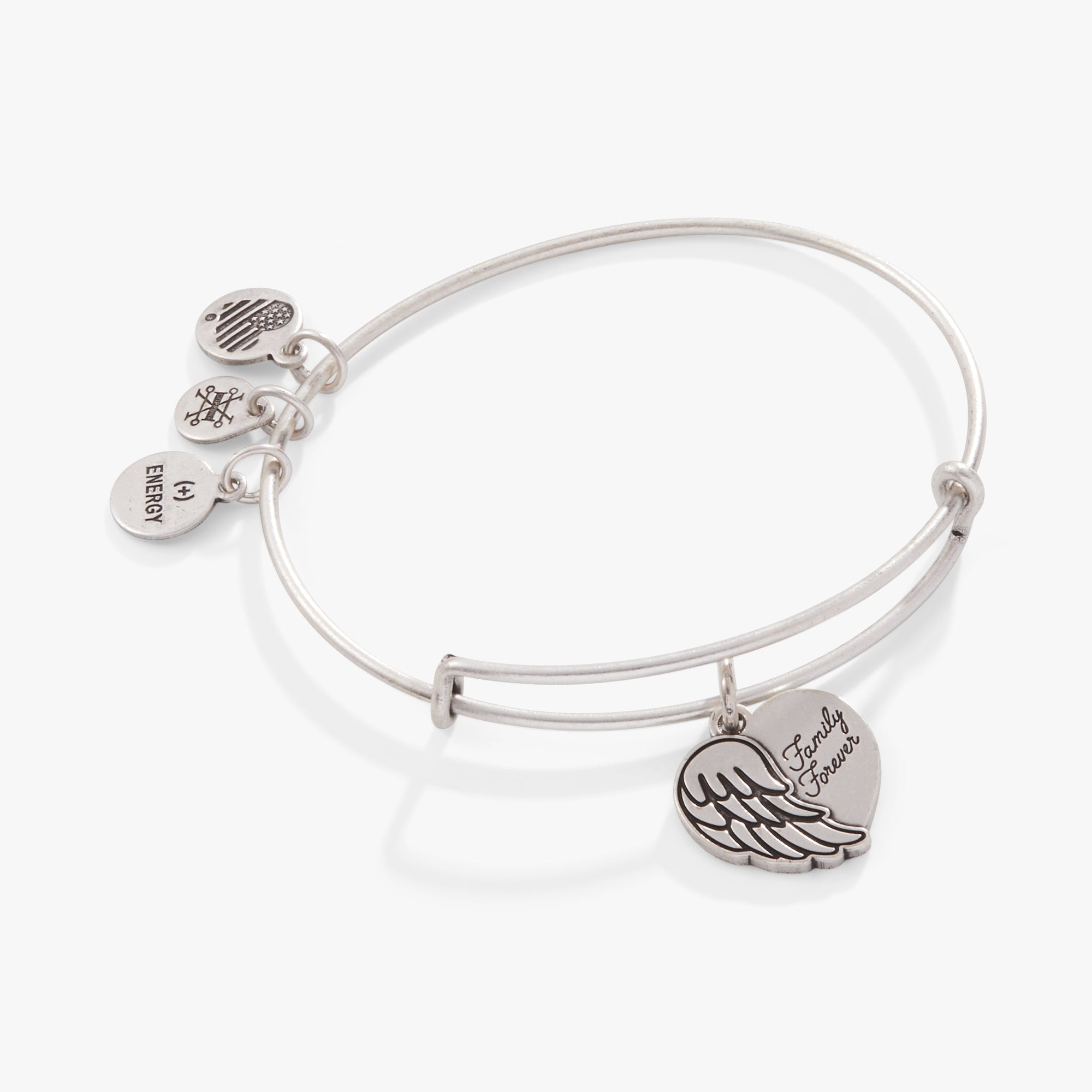 'family Forever' Angel Wing Heart Charm Bangle