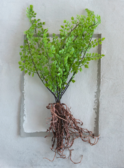 Faux Fern With Exposed Roots
