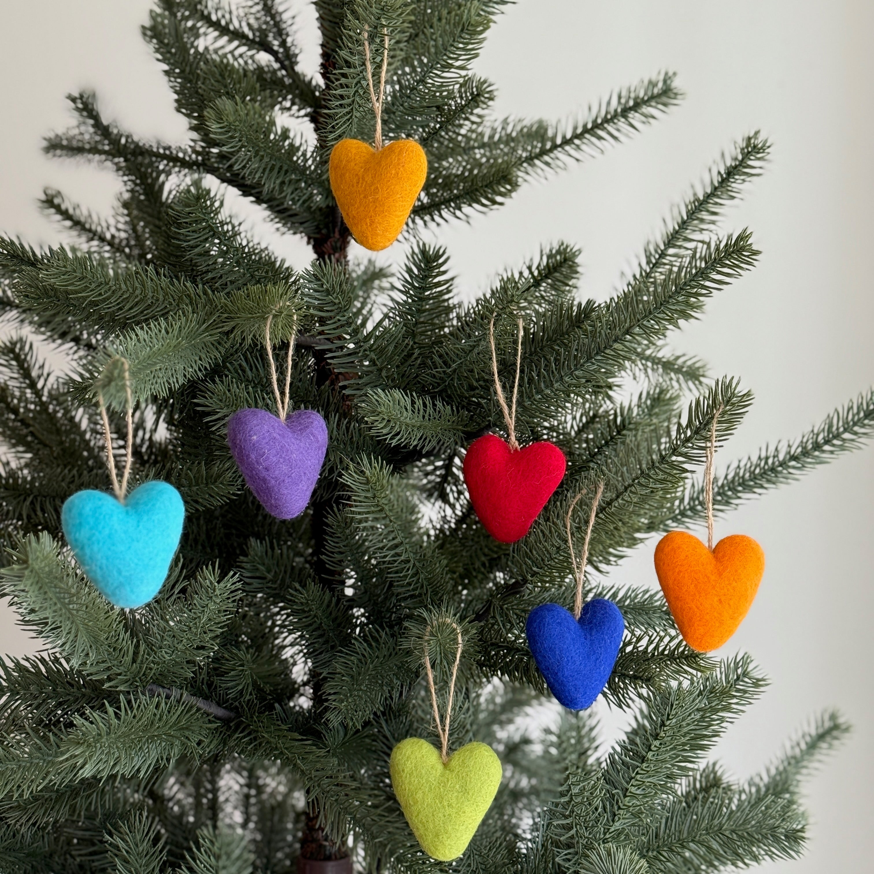 Felt Heart Ornament - Rainbow Set Of 7