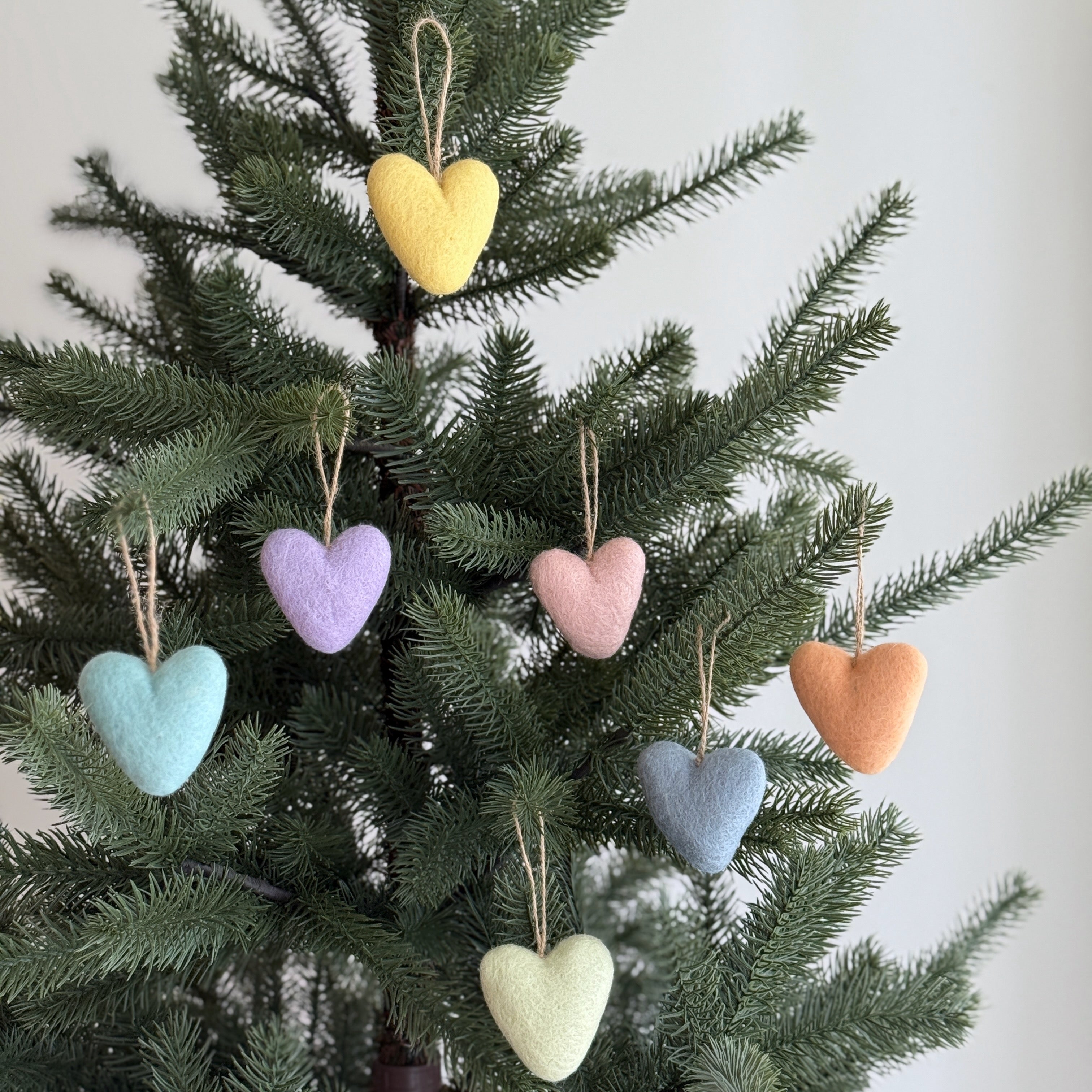 Felt Heart Ornament - Rainbow Set Of 7