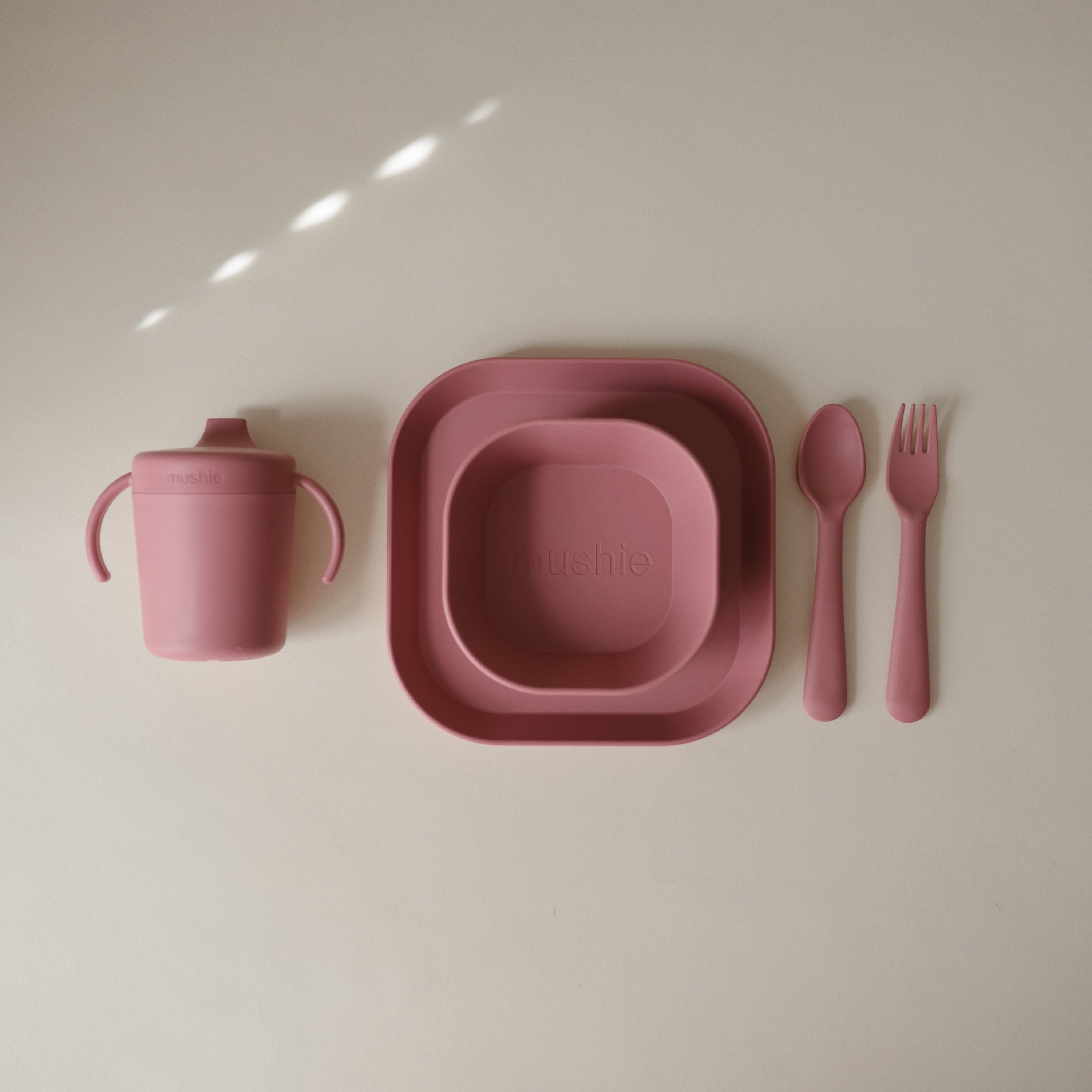 Square Dinnerware Plates, Set Of 2