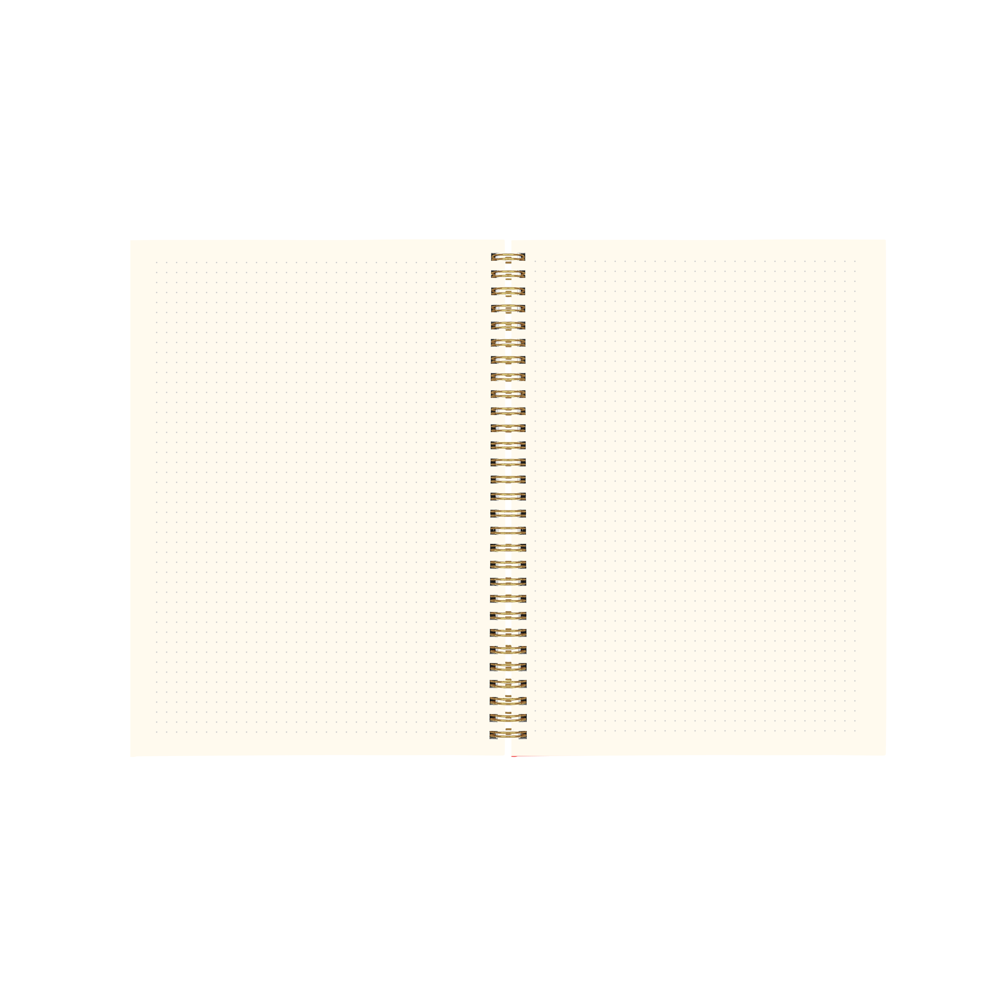 Daisy Check Bullet Journal