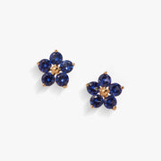 Crystal Forget-me-not Flower Earrings