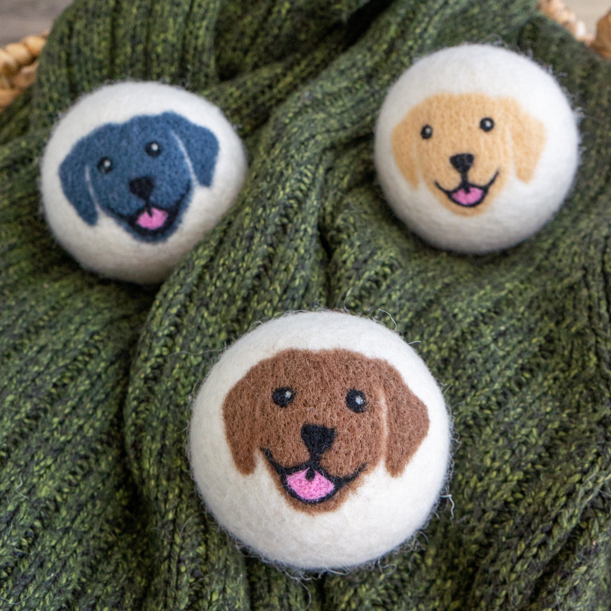 Happy Dogs