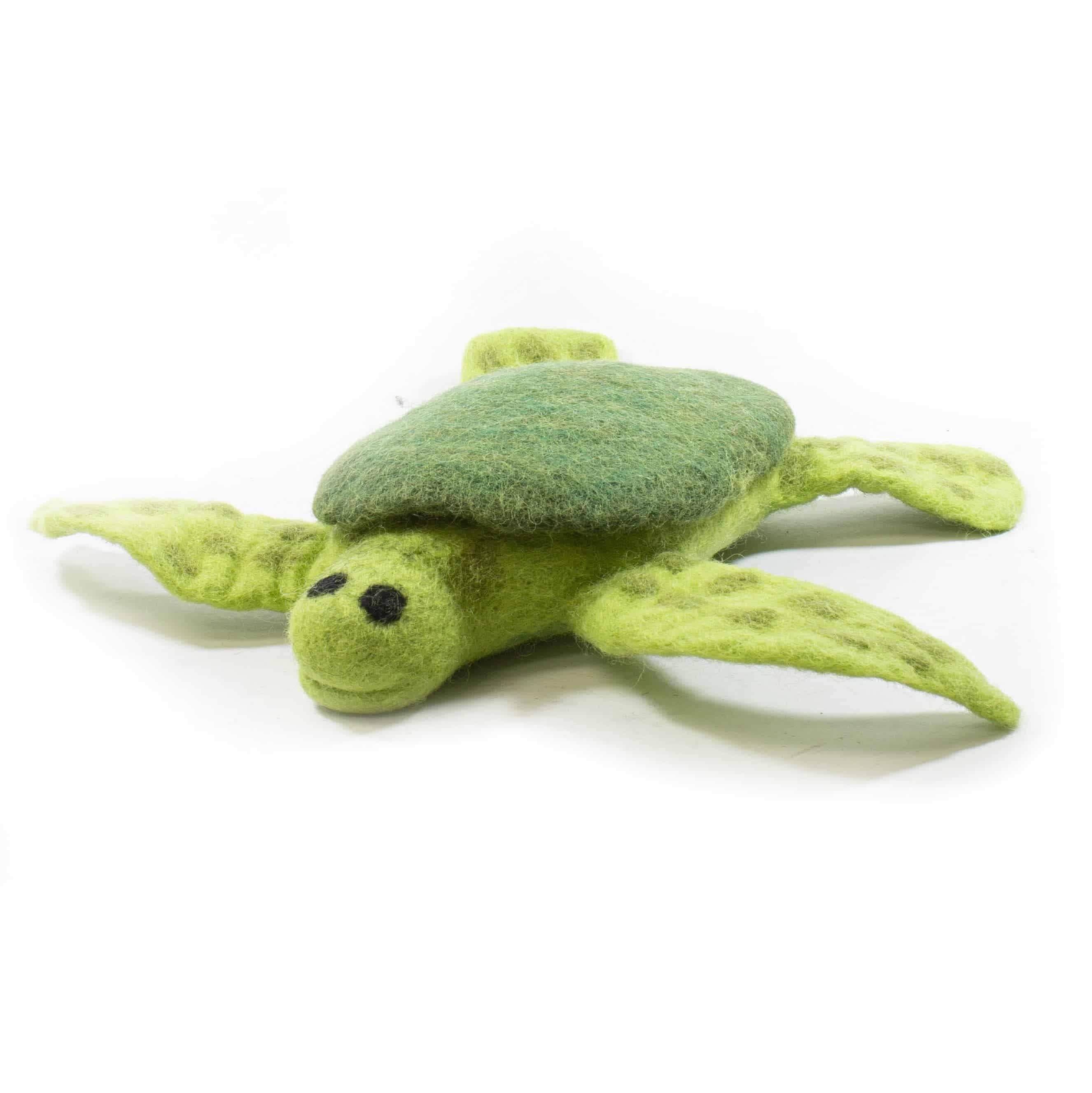 Trevor The Sea Turtle