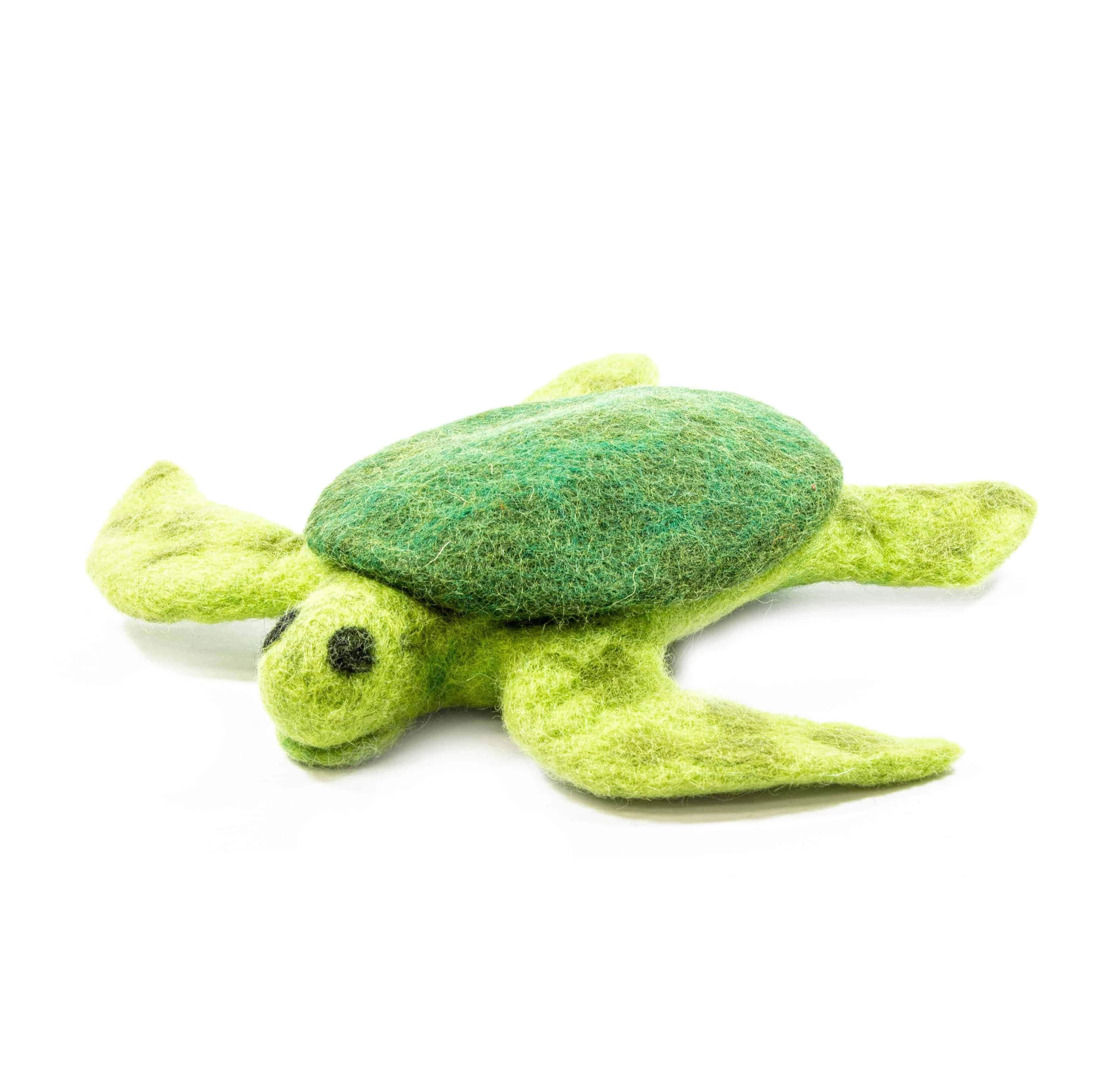 Trevor The Sea Turtle