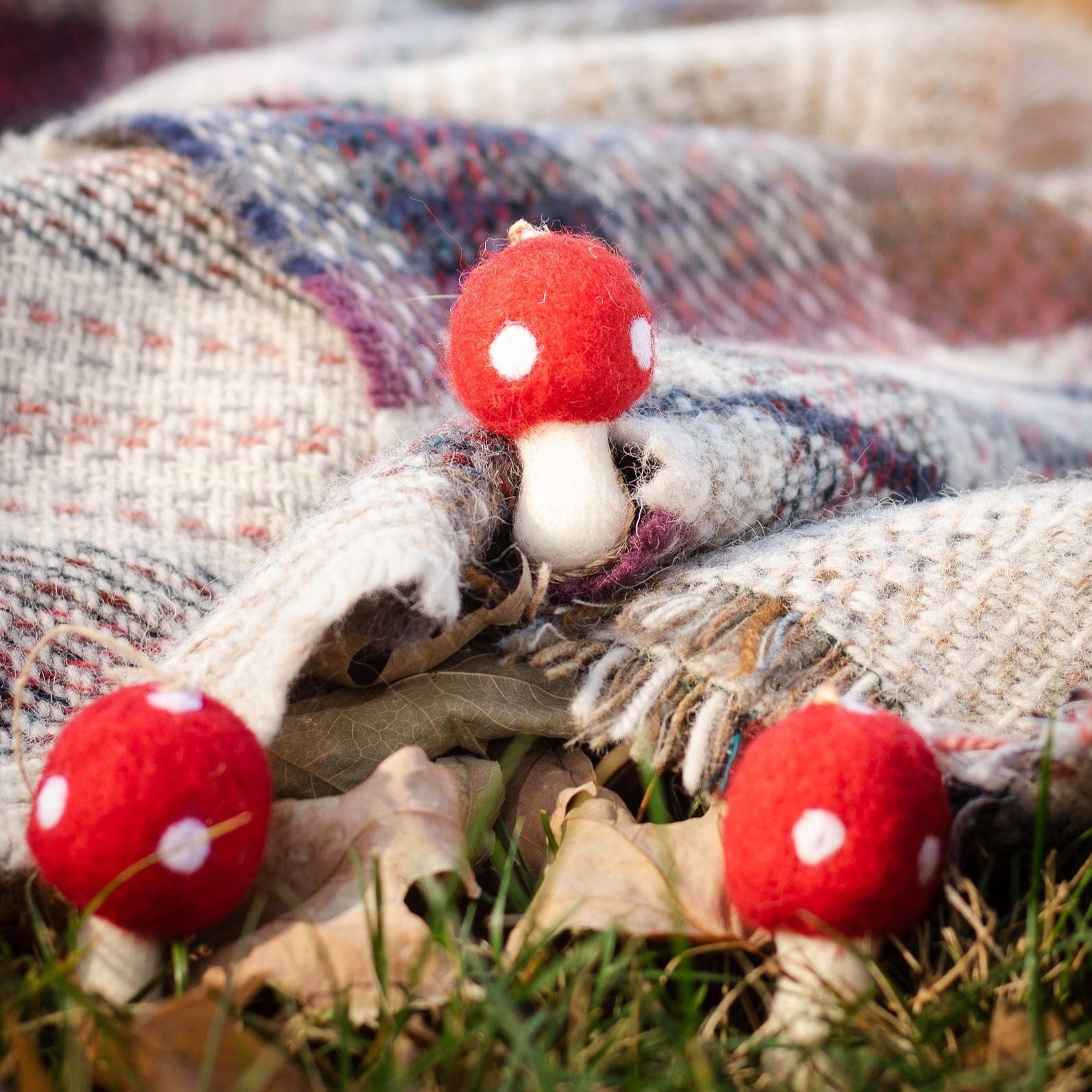 Amanita Mushrooms - Set Of 3