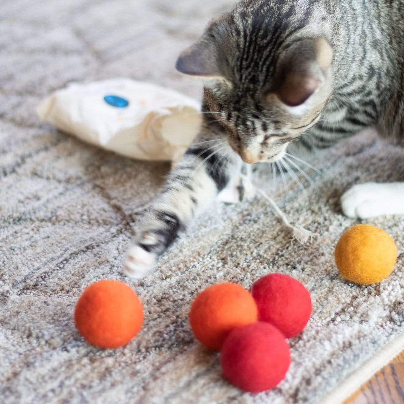Eco Toy Balls "orange Crush" - Set Of 6