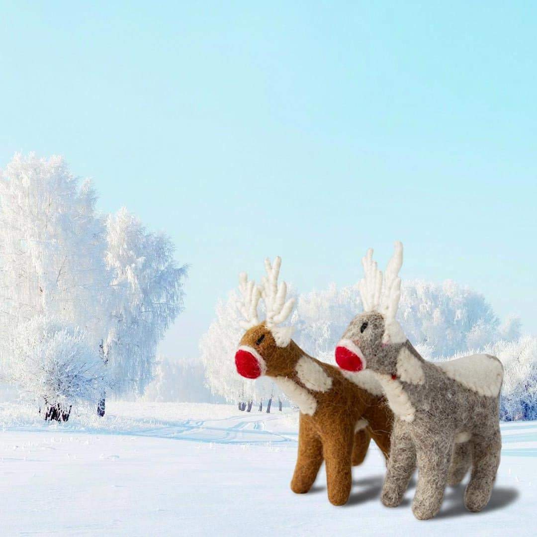 Santa's Reindeer - Set Of 2