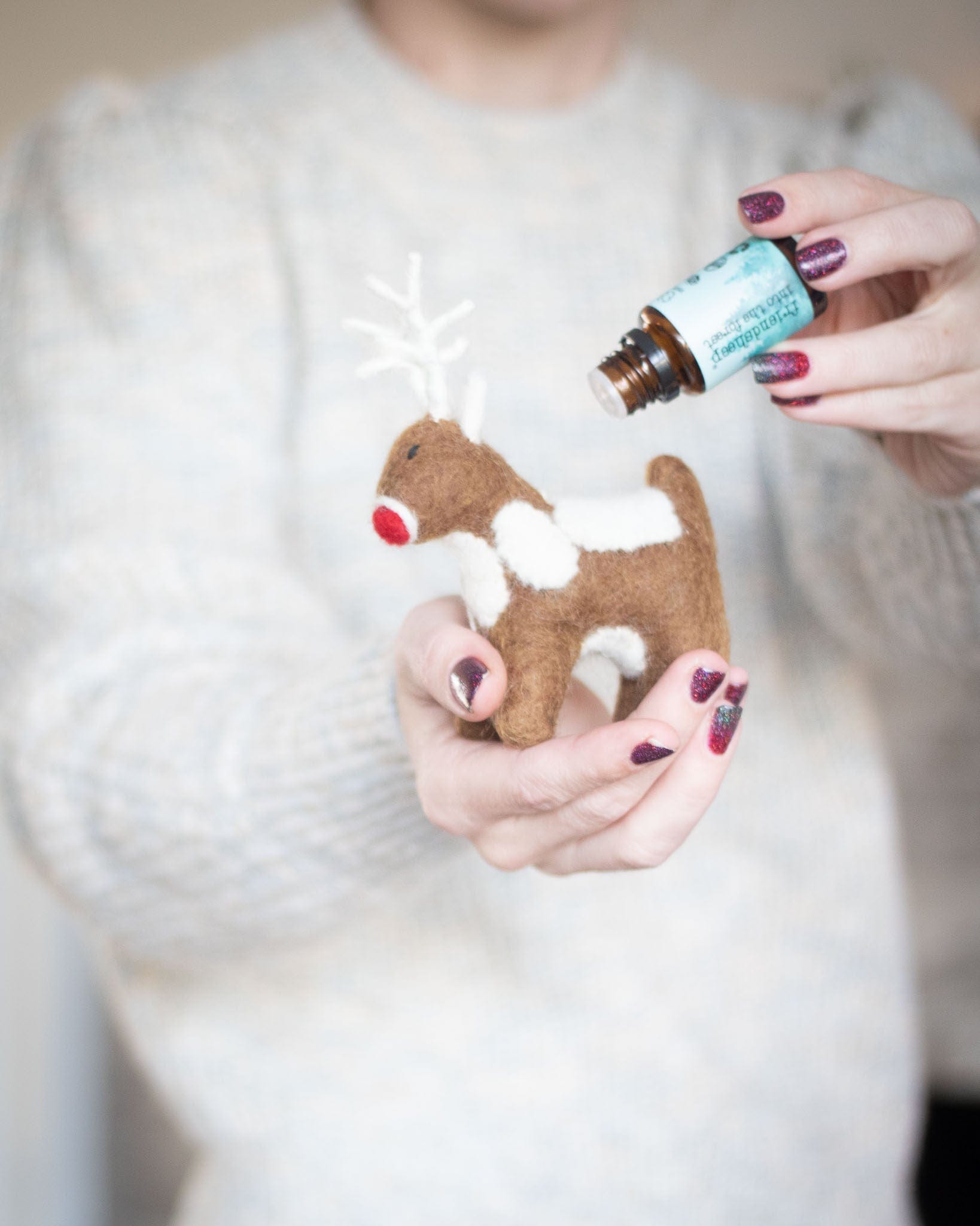Santa's Reindeer - Set Of 2