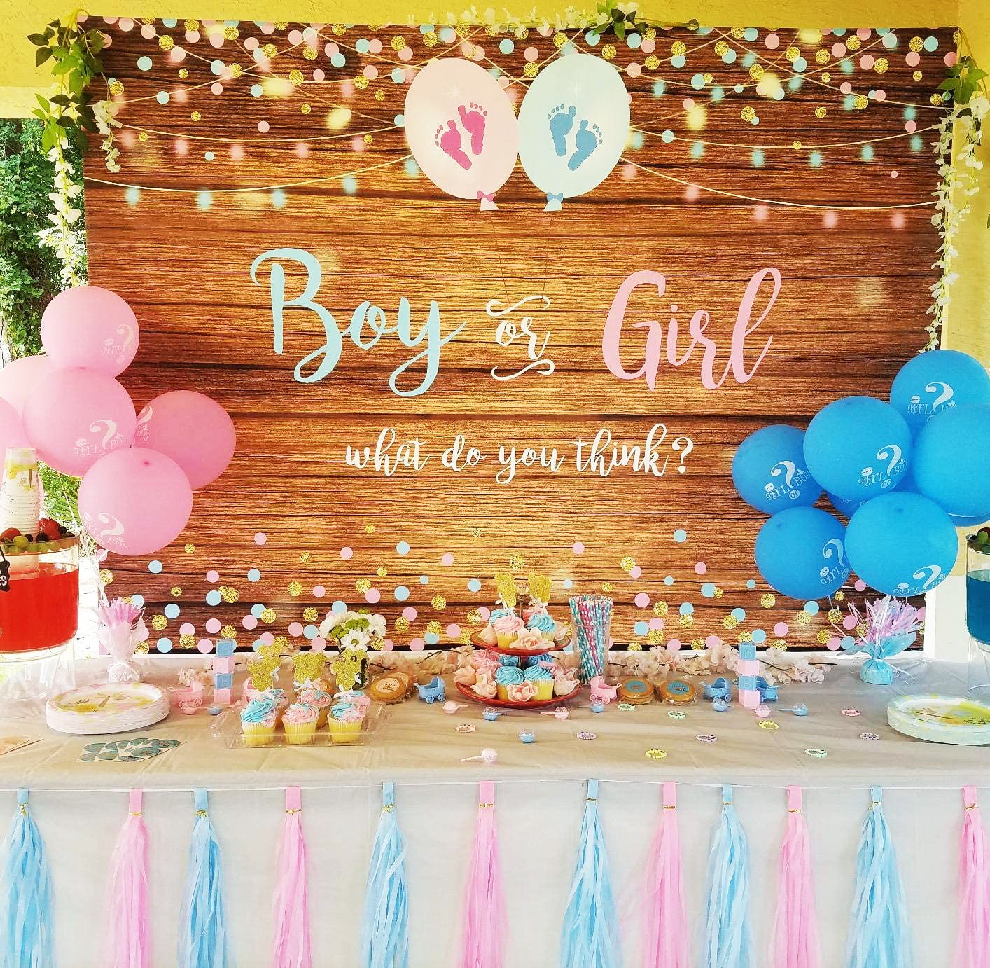 Gender Reveal Vinyl Wood Backdrop