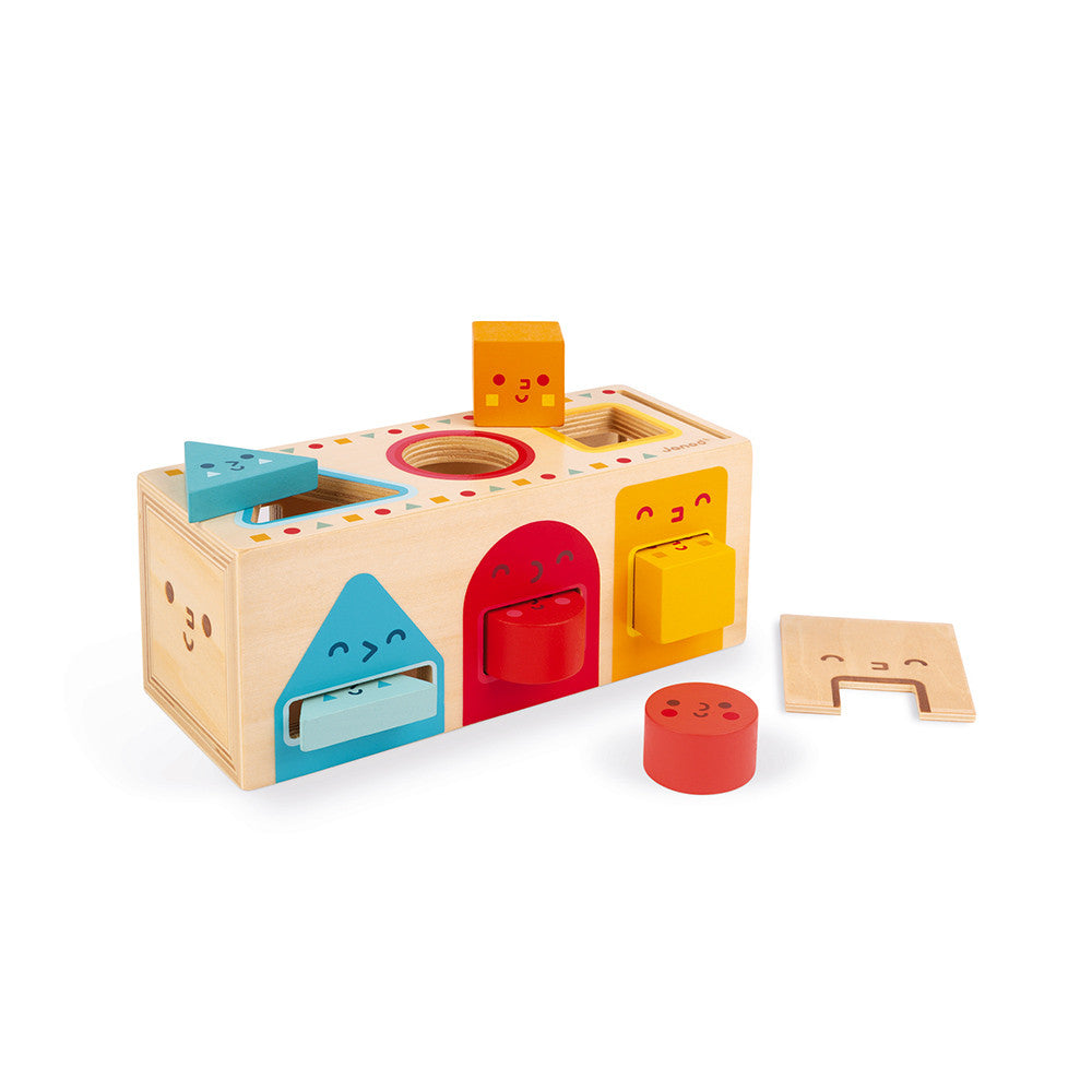 Geometric Shapes Box - 6 Blocks