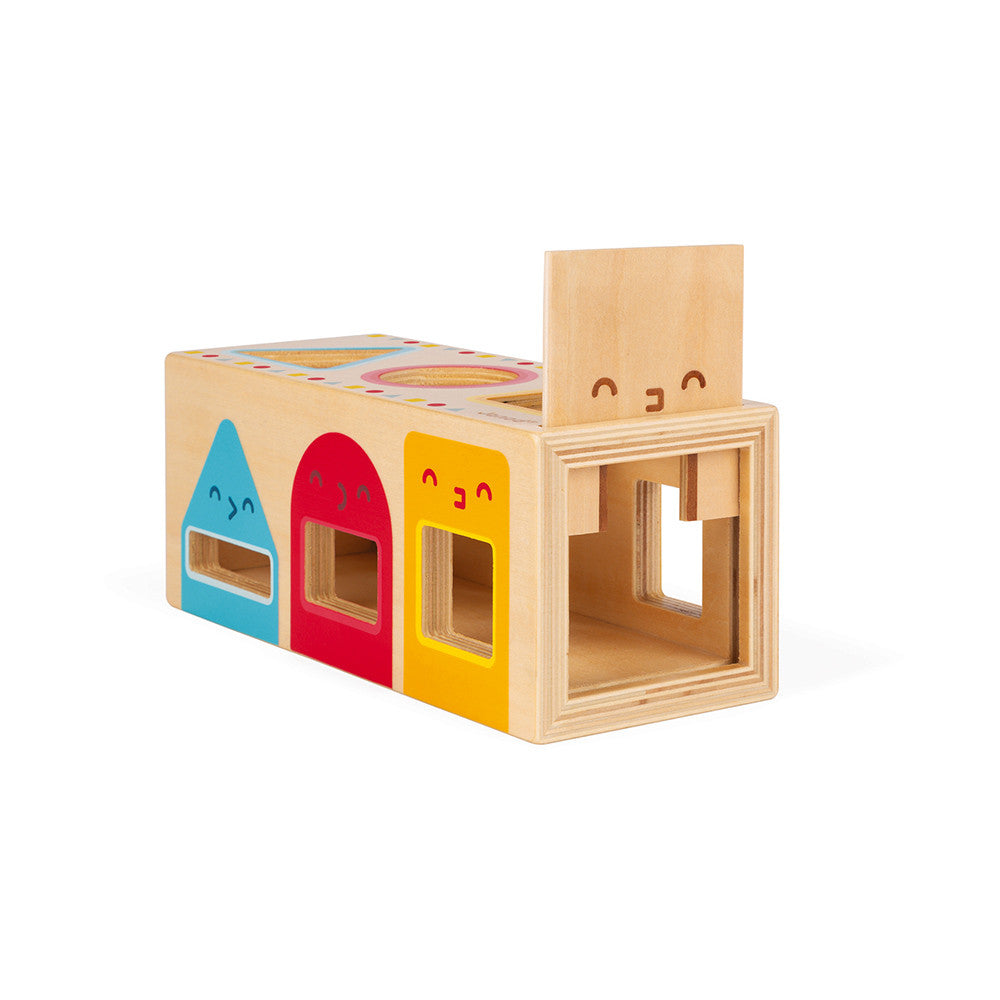 Geometric Shapes Box - 6 Blocks