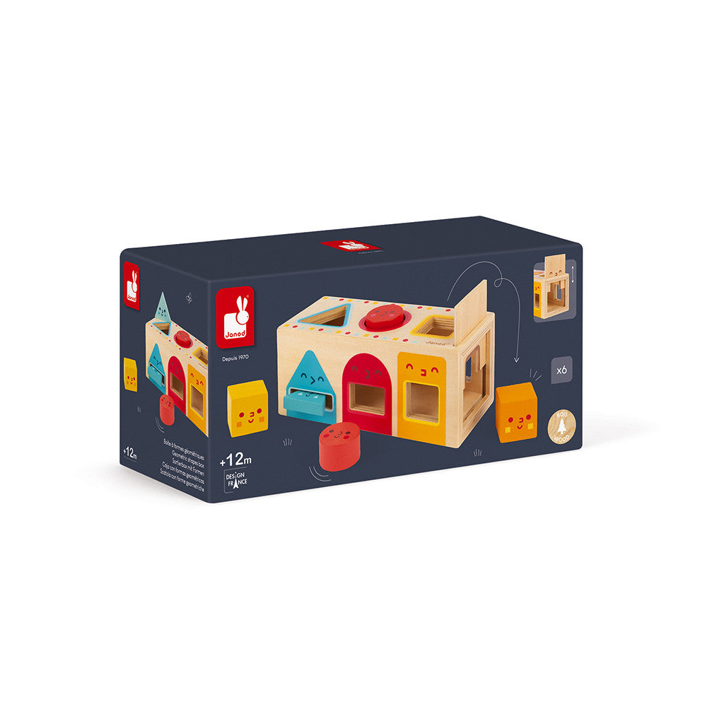 Geometric Shapes Box - 6 Blocks