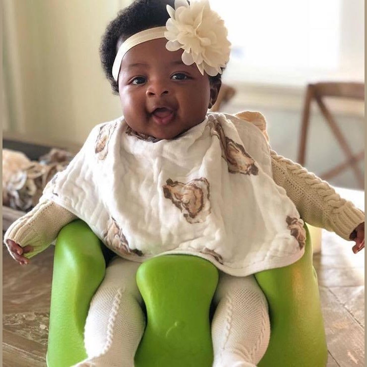 Gift Set: Aw Shucks! Oyster Baby Muslin Swaddle Blanket And Burp Cloth/bib Combo