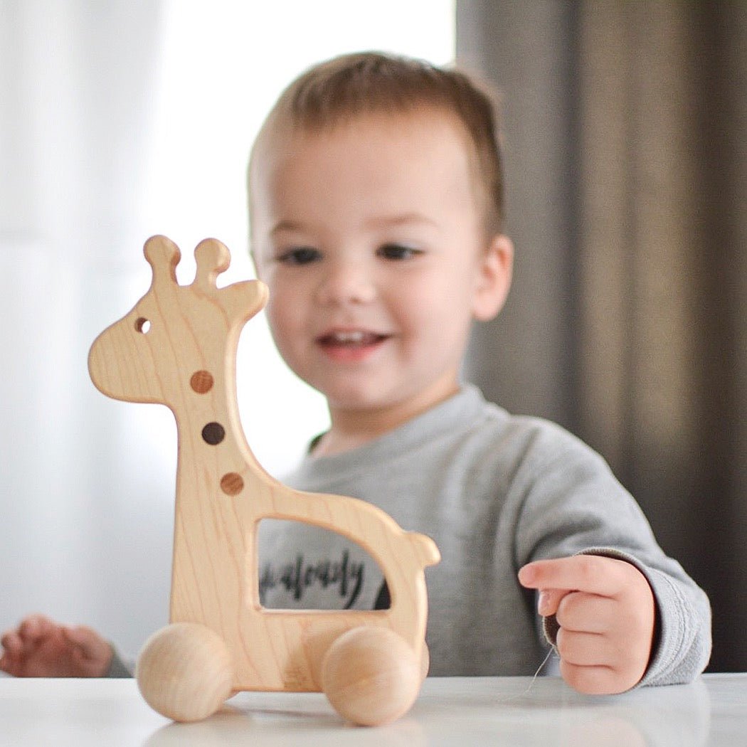 Giraffe Push Toy