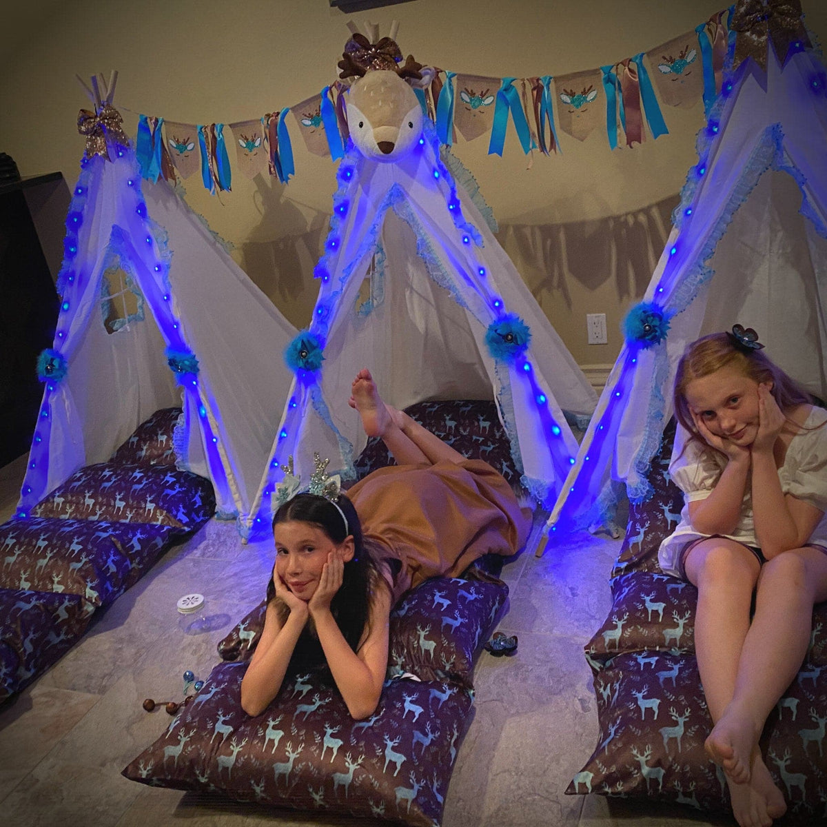 Girl Woodland Glamping Birthday Party Decorations, Forest Animals, Wild One Teepee Tent Party