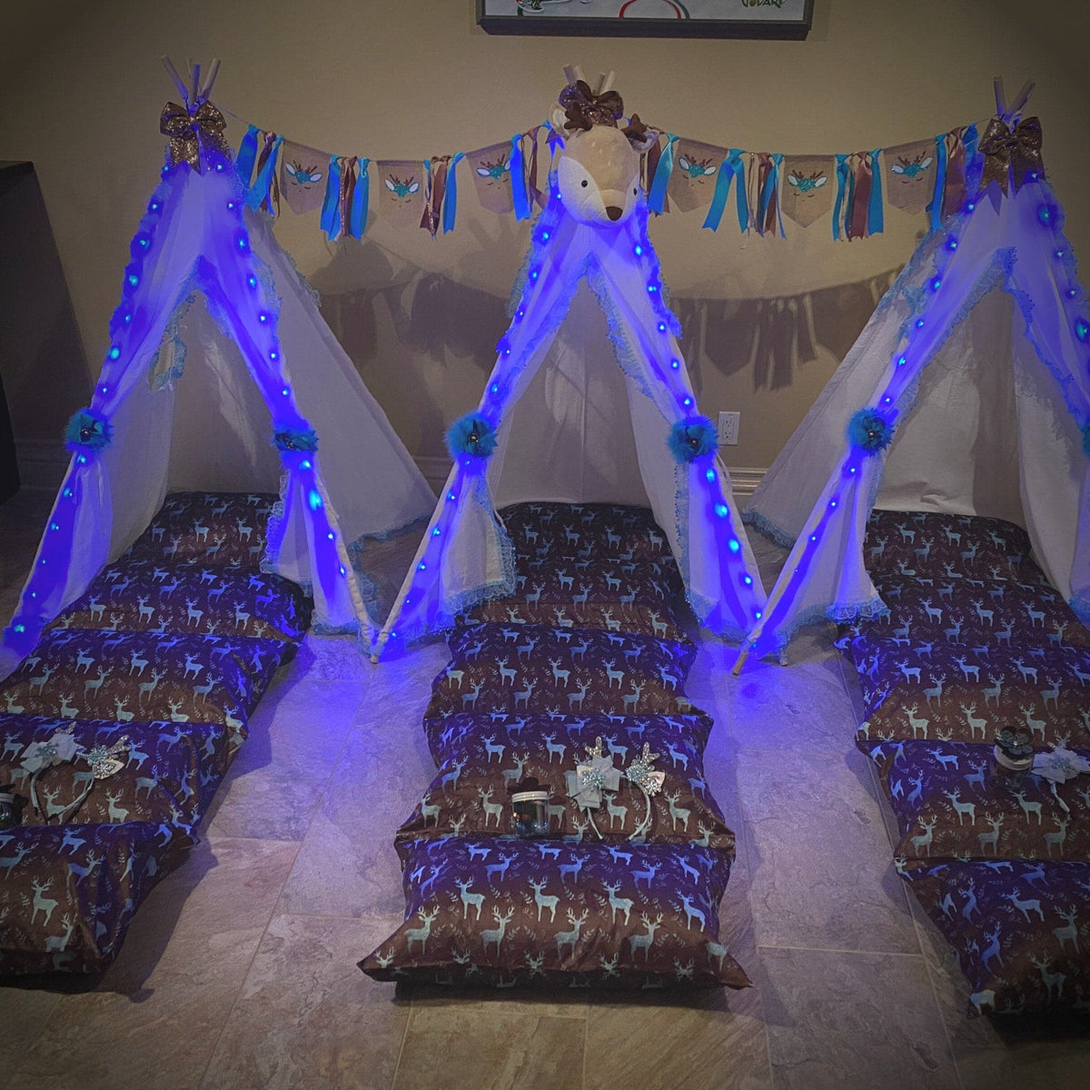 Girl Woodland Glamping Birthday Party Decorations, Forest Animals, Wild One Teepee Tent Party
