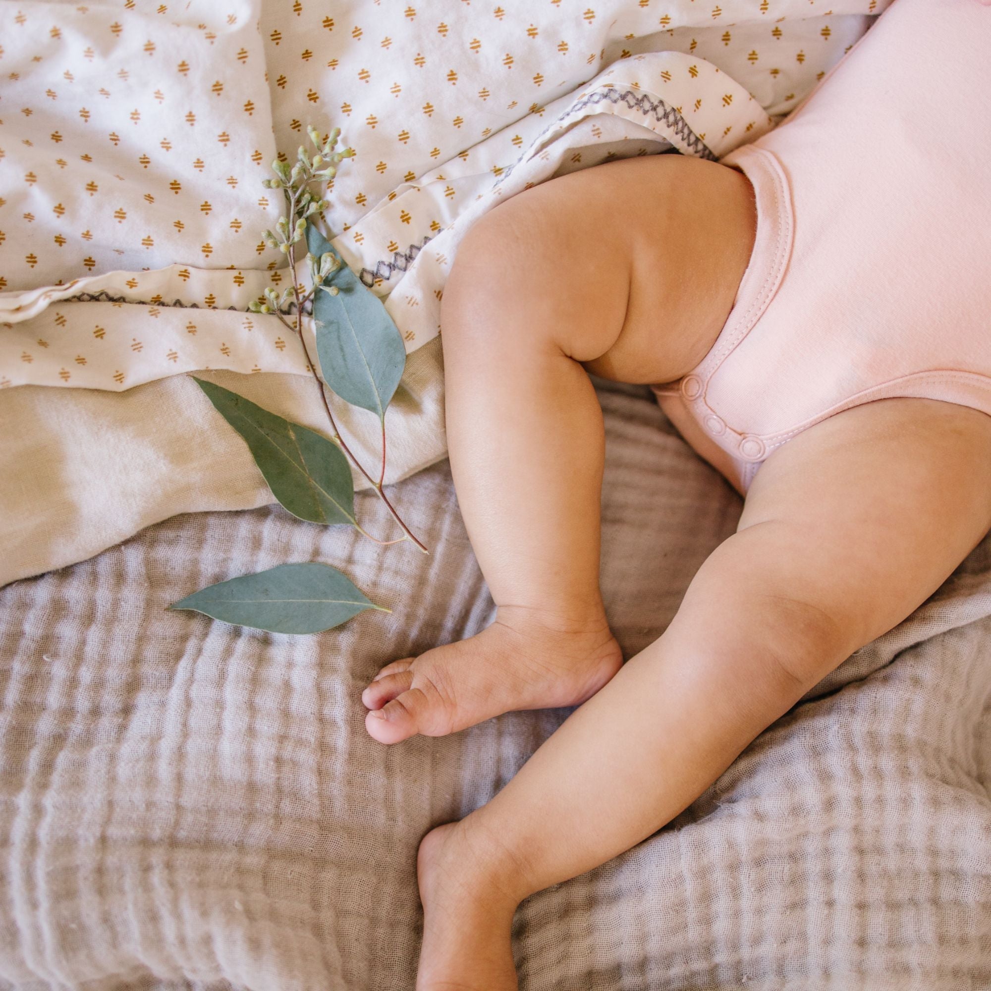 Baby Girl Short Sleeve Pk