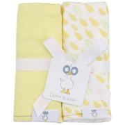Carrots And Shapes Orange 2 Pk Muslin & Terry Cloth Burp Cloth