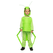 Child Green Grasshopper Costume