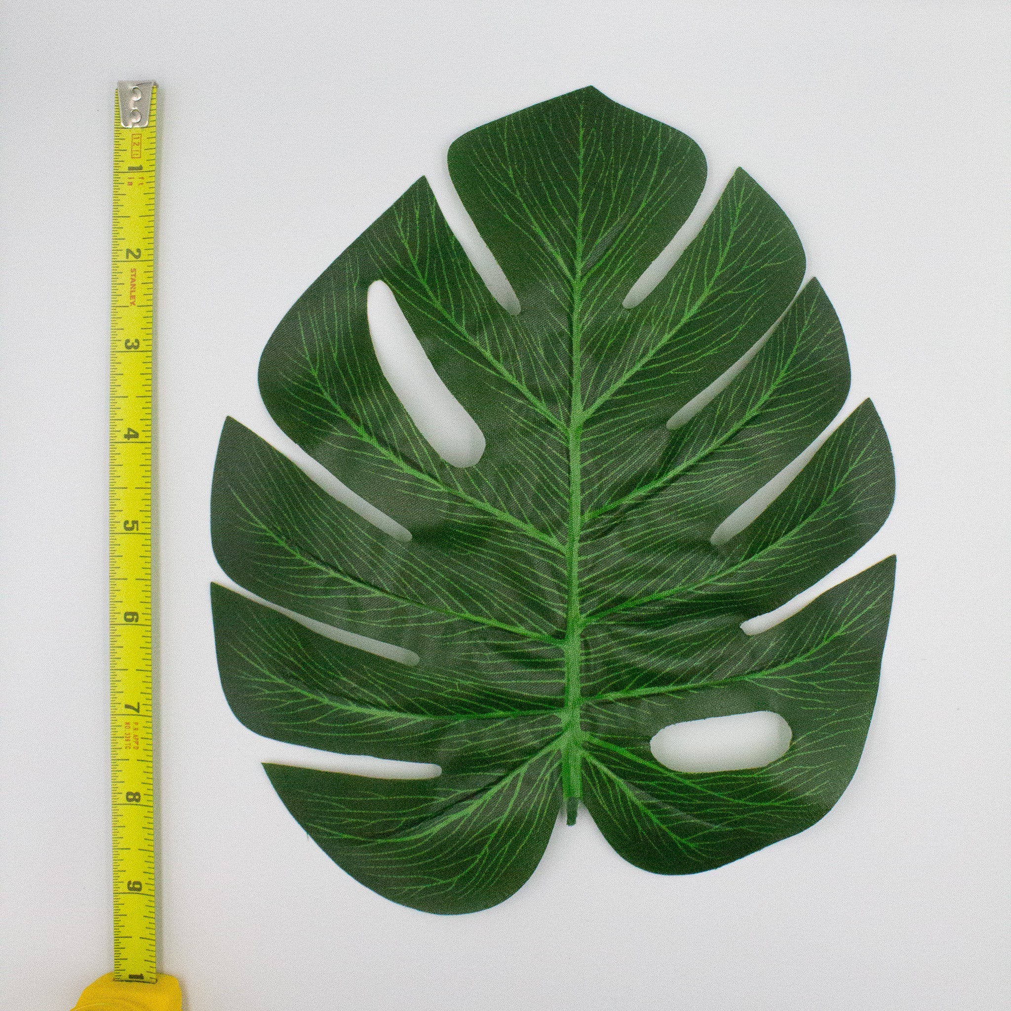 Monstera Tropical Leaves