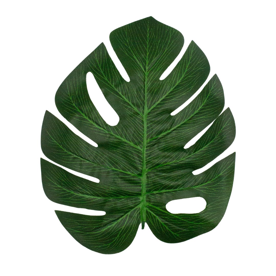 Monstera Tropical Leaves