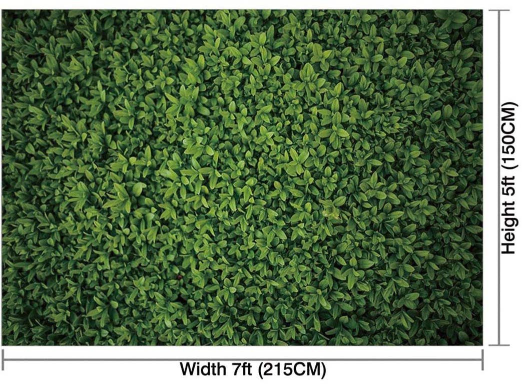 Greenery Boxwood Backdrop