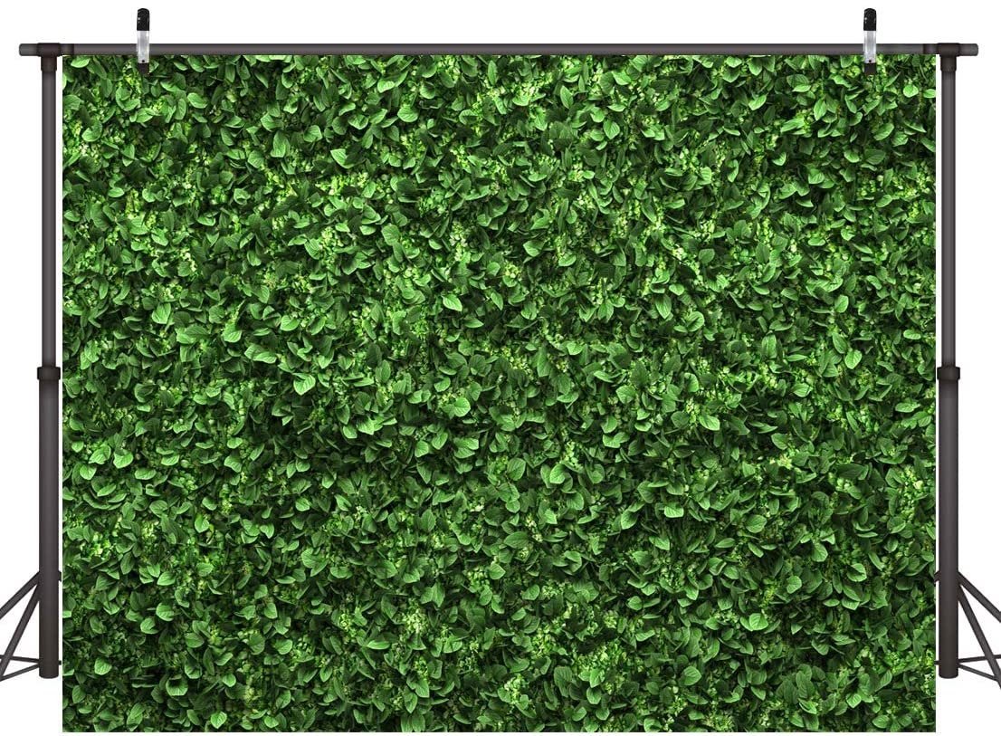 Greenery Boxwood Backdrop