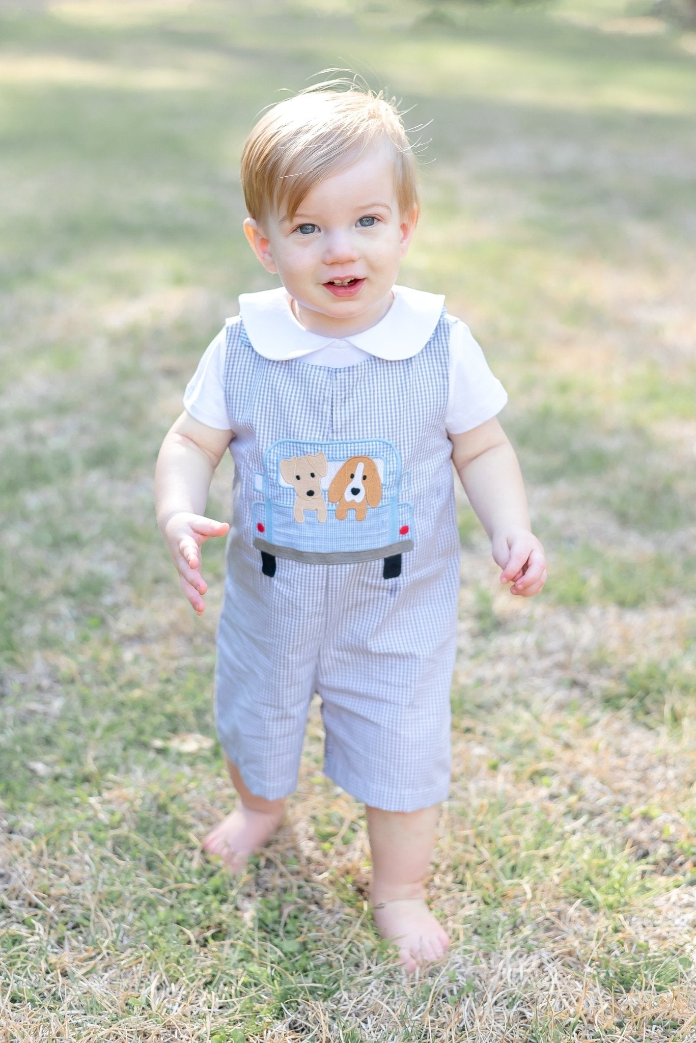 Grey Gingham Puppies In Truck Shortalls