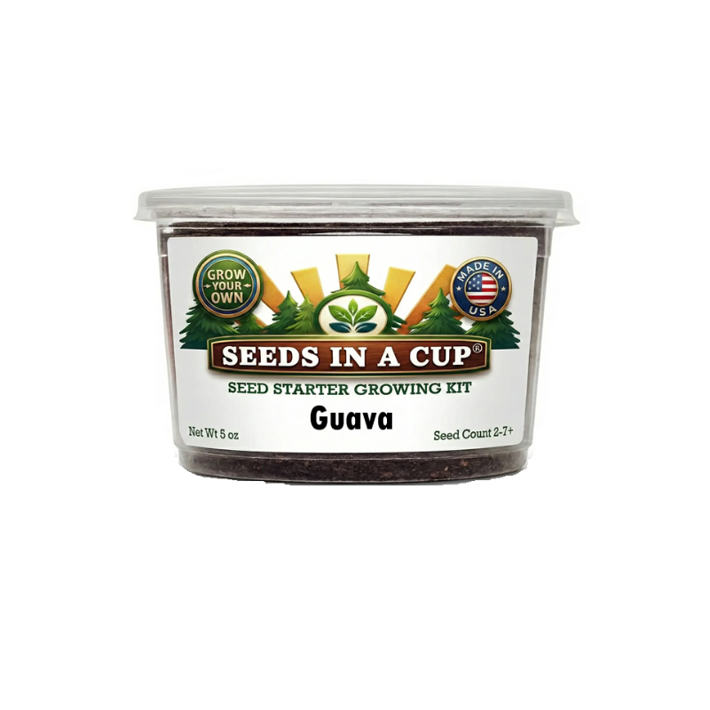 Original Tree Grow Kit- Multiple Varieties