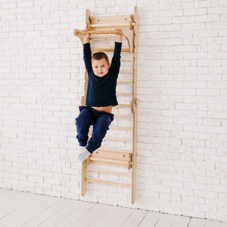 Gym Addition To The Climbing Ladders