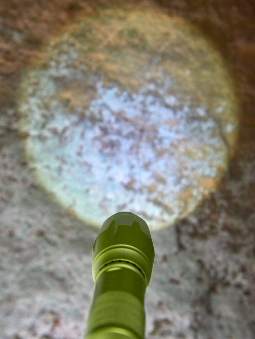 Terra Kids 4-way Flashlight